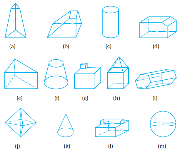 Page 194 Chapter 6 Class 8th NCERT Exemplar